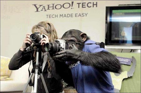 Funny Pictures of Photographer Funny Pictures of Photographer