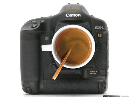 Funny Pictures of Photographer Funny Pictures of Photographer