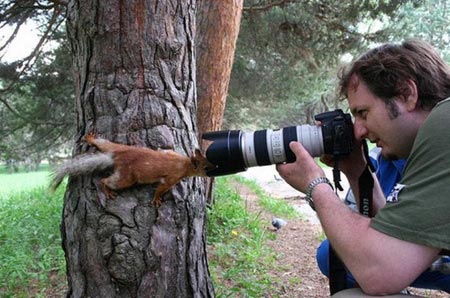Funny Pictures of Photographer Funny Pictures of Photographer