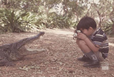 Funny Pictures of Photographer Funny Pictures of Photographer