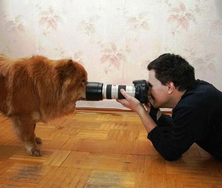Funny Pictures of Photographer Funny Pictures of Photographer