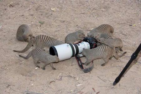 Funny Pictures of Photographer Funny Pictures of Photographer