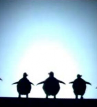 Chinese Shadow Performance in Theater