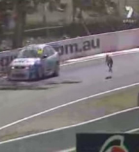 Kangaroo hops on to racetrack mid-race