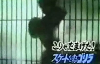 Gorilla Dancing