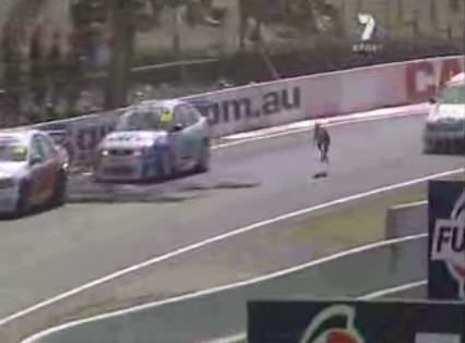 Kangaroo hops on to racetrack mid-race Kangaroo hops on to racetrack mid-race