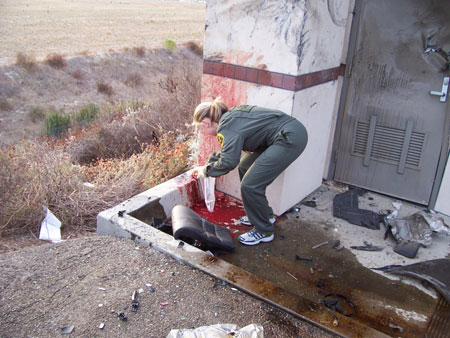 Drink and Drive Accident