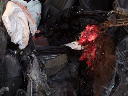 Drink and Drive Accident