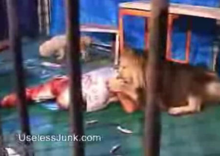 Lion Eating Man Lion Eating Man