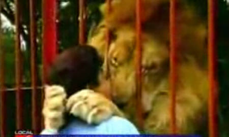An Amazing Hug An Amazing Hug