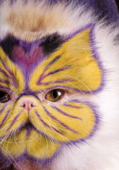 Painted Cats