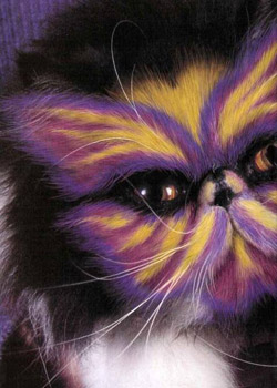 Painted Cats
