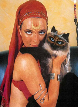 Painted Cats