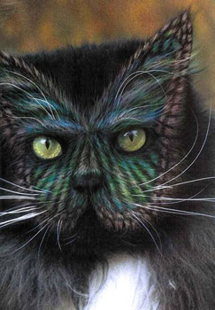 Painted Cats
