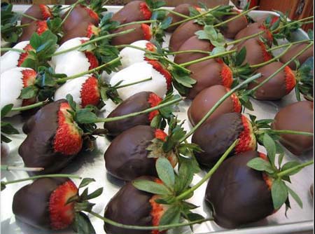 Chocolate Lover