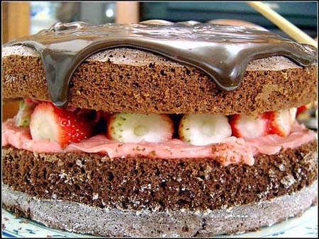 Chocolate Lover