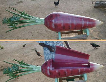 Special Coffin at Ghana
