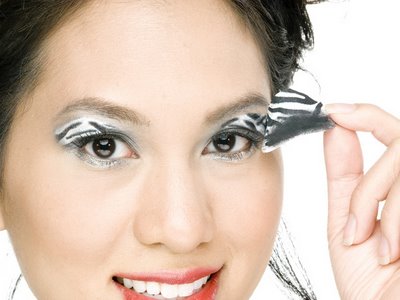 Eye Shadows for beginner Eye Shadows for beginner
