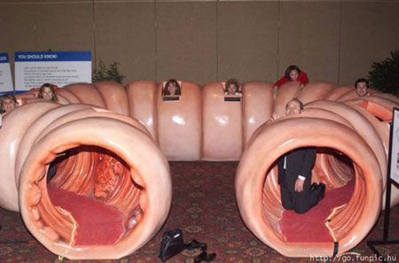 Interesting and Funny Pictures