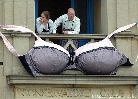 Interesting and Funny Pictures
