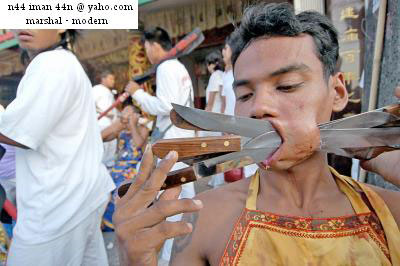 Madness Celebration in the name of cultural tradition