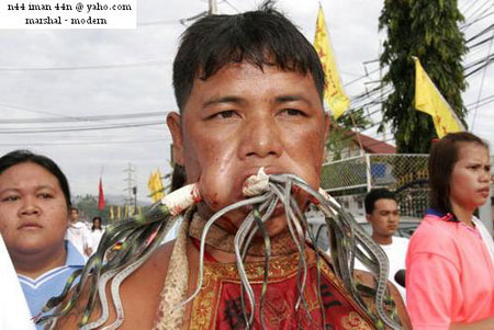 Madness Celebration in the name of cultural tradition