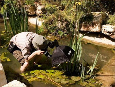 Funny Pictures of Photographer