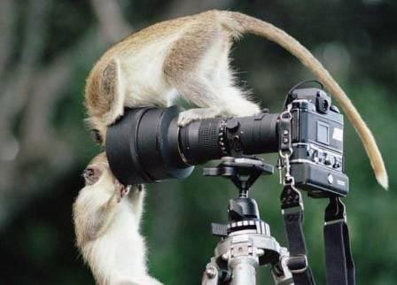 Funny Pictures of Photographer
