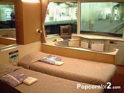 Premium Train In Japan Premium Train In Japan