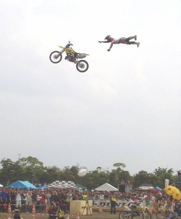 Priceless Photo taken at the right moment