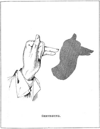 Shadow Play Shadow Play