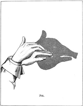 Shadow Play Shadow Play