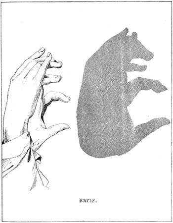 Shadow Play Shadow Play