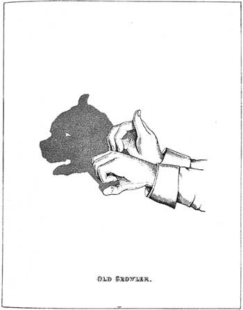 Shadow Play Shadow Play
