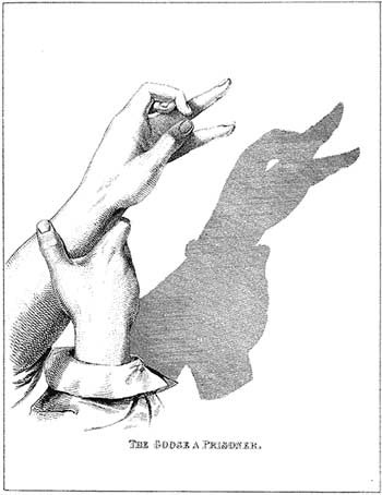 Shadow Play Shadow Play