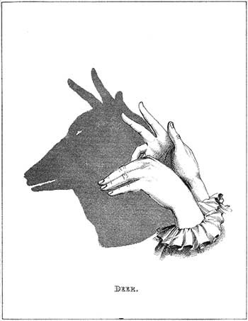Shadow Play Shadow Play