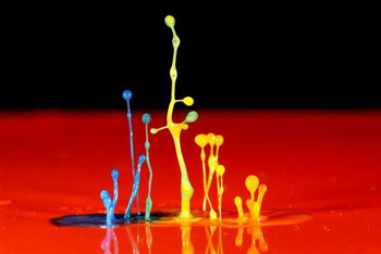 Water Drop Water Drop