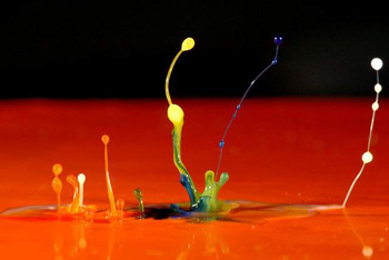 Water Drop Water Drop