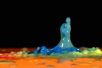 Water Drop Water Drop