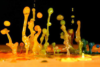 Water Drop Water Drop