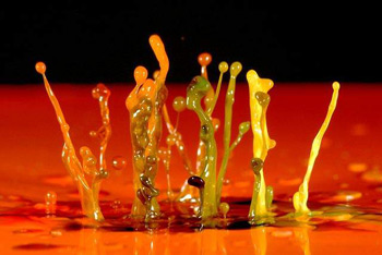 Water Drop Water Drop