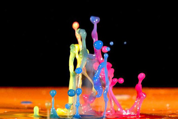 Water Drop Water Drop