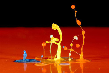 Water Drop Water Drop
